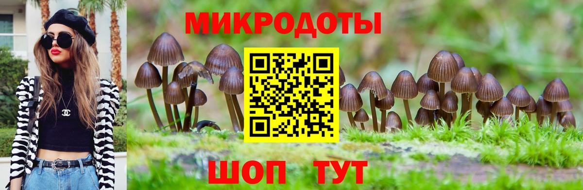 Псилоцибиновые грибы GOLDEN TEACHER Краснокаменск